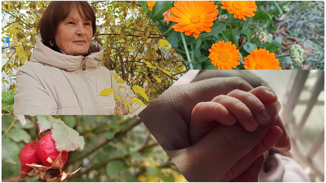 Прогулочки, покупочки. Пеку пироги. Музыкальная, рыбалка смотреть онлайн