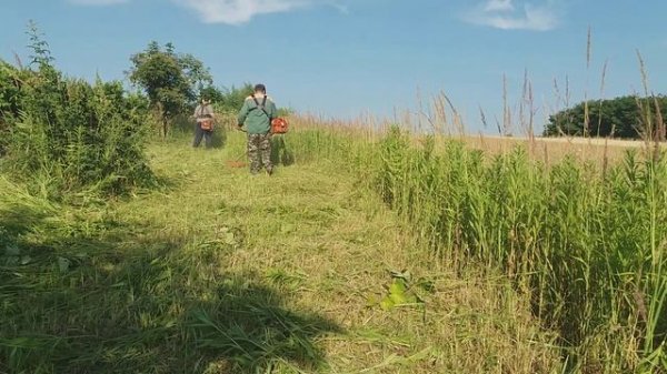 Két Oleo Mac 755 master akcióban! 1.