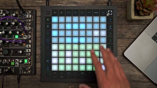 Launchpad Pro [MK3] - Sequencer: Print to Clip // Novation смотреть онлайн