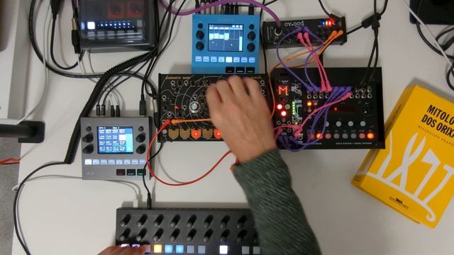 Eowave Quadrantid Swarm + 1010 Music Blackbox + Torso electronics T-1. Techno jam session. смотреть онлайн