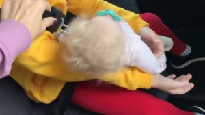 ВЛОГ Улетели в Турцию и ПОПАЛИ на деньги !!