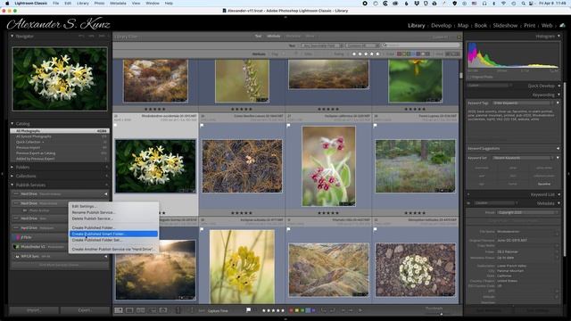 Lightroom Classic: Creating a Local Archive of Master Photos смотреть онлайн