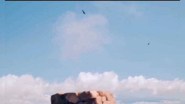 ламбо (премьера клипа) Rusik Gaming _sport Grv Stysa 🏎️