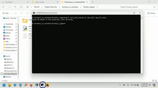 How to do Gromacs Protein Ligand MD Simulation in Windows Part 2 смотреть онлайн