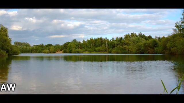 I tried Magic Lantern Firmware... смотреть онлайн