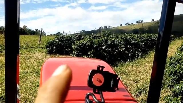 Última aplicação de glifosato no café смотреть онлайн