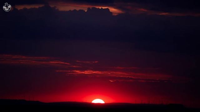 [FREE] Mac Miller Type Beat - 'Dunno' | Hip Hop / Soul Instrumental смотреть онлайн