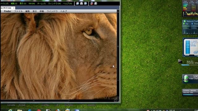 Mac OS X Lion 10.7 (build 11A494a) VMware pre-installed VMware image for Windows 7 x64 смотреть онлайн