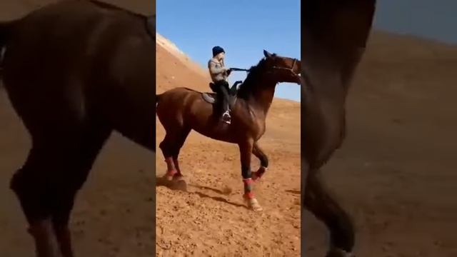 ot oʻyinlari смотреть онлайн