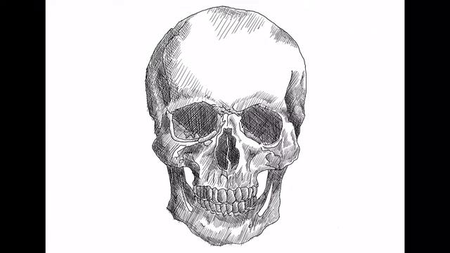 SKULL (how to cross-hatch) | iPad Pro - Apple Pencil | ProCreate | Speed Drawing смотреть онлайн