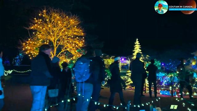 iPhone 14 Pro Max, Zhiyun Crane M2, external mic| Night | Cinematic 4k | Festival of Lights, Canada смотреть онлайн