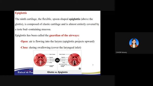 Respiration System 2 Anatomy смотреть онлайн