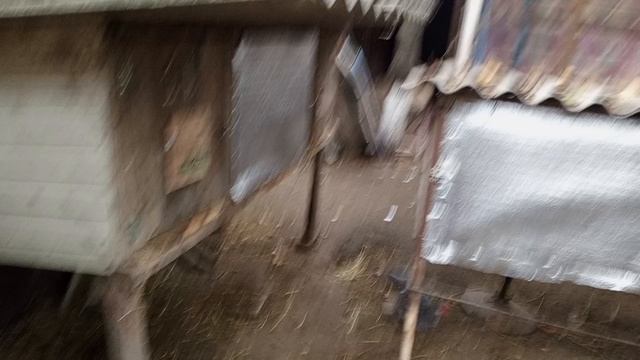 утеплил клетки