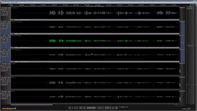 Getting Started with Revoice Pro 4 and Reaper using ARA2 смотреть онлайн