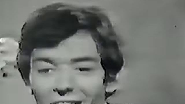 THE HOLLIES(VIDEO CLIP)-"LOOK THROUGH ANY WINDOW"(LYRICS) смотреть онлайн