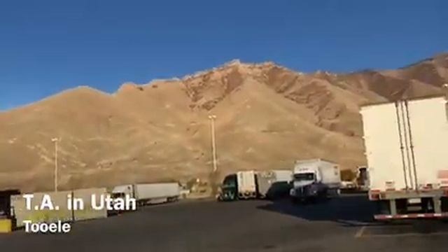 Neefah Nee Female Truck Driver Vlog 6 смотреть онлайн