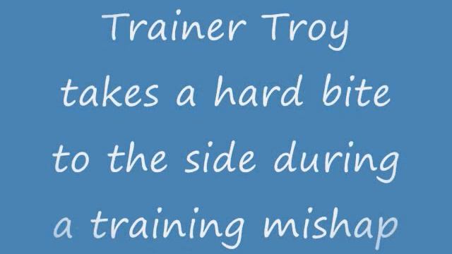 Trainer takes a bite.wmv смотреть онлайн