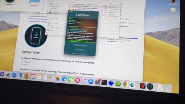 How to Downgrade from iOS 12 to iOS 10 or iOS 10 to iOS 8 with LeetDown.