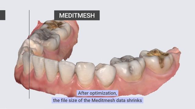 Medit Link Data (Raw data / Meditmesh) (ENG) смотреть онлайн