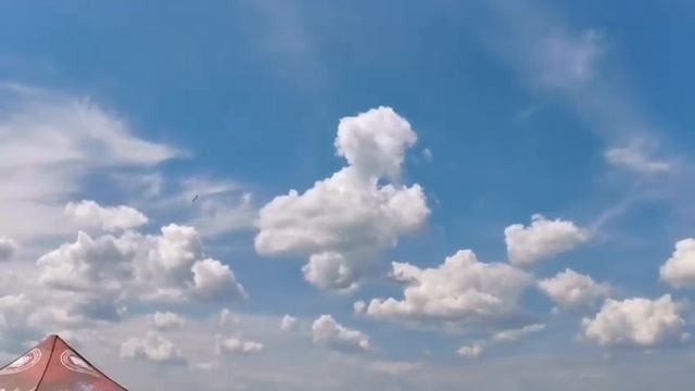 Marek Plichta Freestyle IMAC 2021 смотреть онлайн