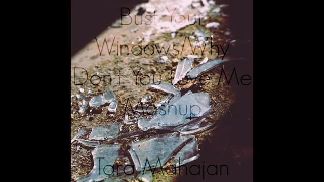 Bust Your Windows/Why Don't You Love Me Mashup - Cover by Tara Mahajan смотреть онлайн