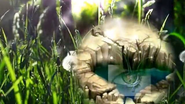 Kizoa Video Editor - Movie Maker: PETE DUEL- SALTWATER смотреть онлайн