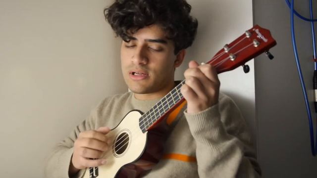 My Kind of Woman // Mac Demarco Ukulele Cover смотреть онлайн