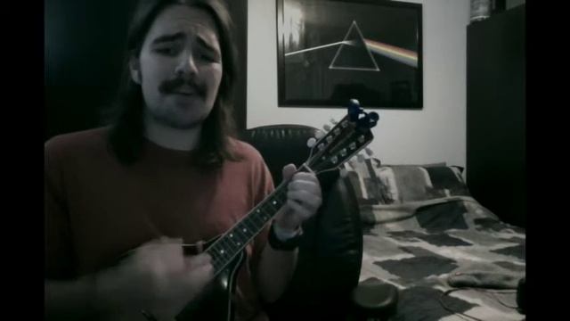 Salad Days - Mac DeMarco Mandolin Cover смотреть онлайн