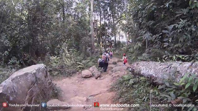 sadoodta diaries 7-10 Jan 2016 : พิชิตภูกระดึง มกราคม2559 ทริปใบเมเปิ้ลแดง ตอนที่3 смотреть онлайн