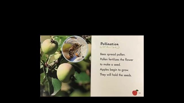 Apples Grow on a Tree - Guided Reading смотреть онлайн