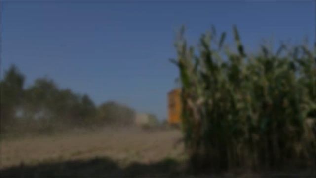 Mais 2020 | Fendt 916 | Claas Jaguar 870 + Axion | Pleizier & Timmer | Maize harvest | Maishakselen смотреть онлайн