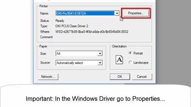 Install PS Print with WindowsPrinter смотреть онлайн
