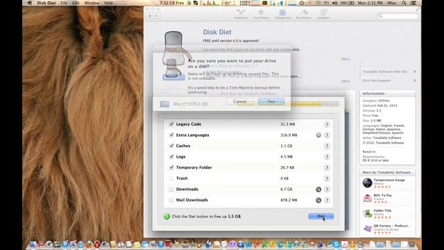 Save Disk Space with Disk Diet utility on OS X 10.8 Mountain Lion смотреть онлайн