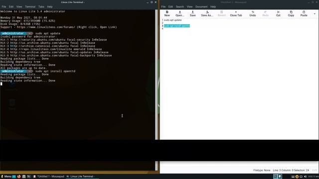 How to install OpenTTD on Linux Lite 5.4 смотреть онлайн