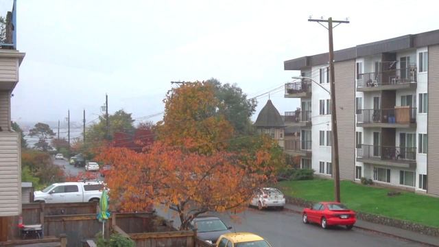 Opportunity Knocks! 8-333 Robert Street, Victoria Real Estate смотреть онлайн