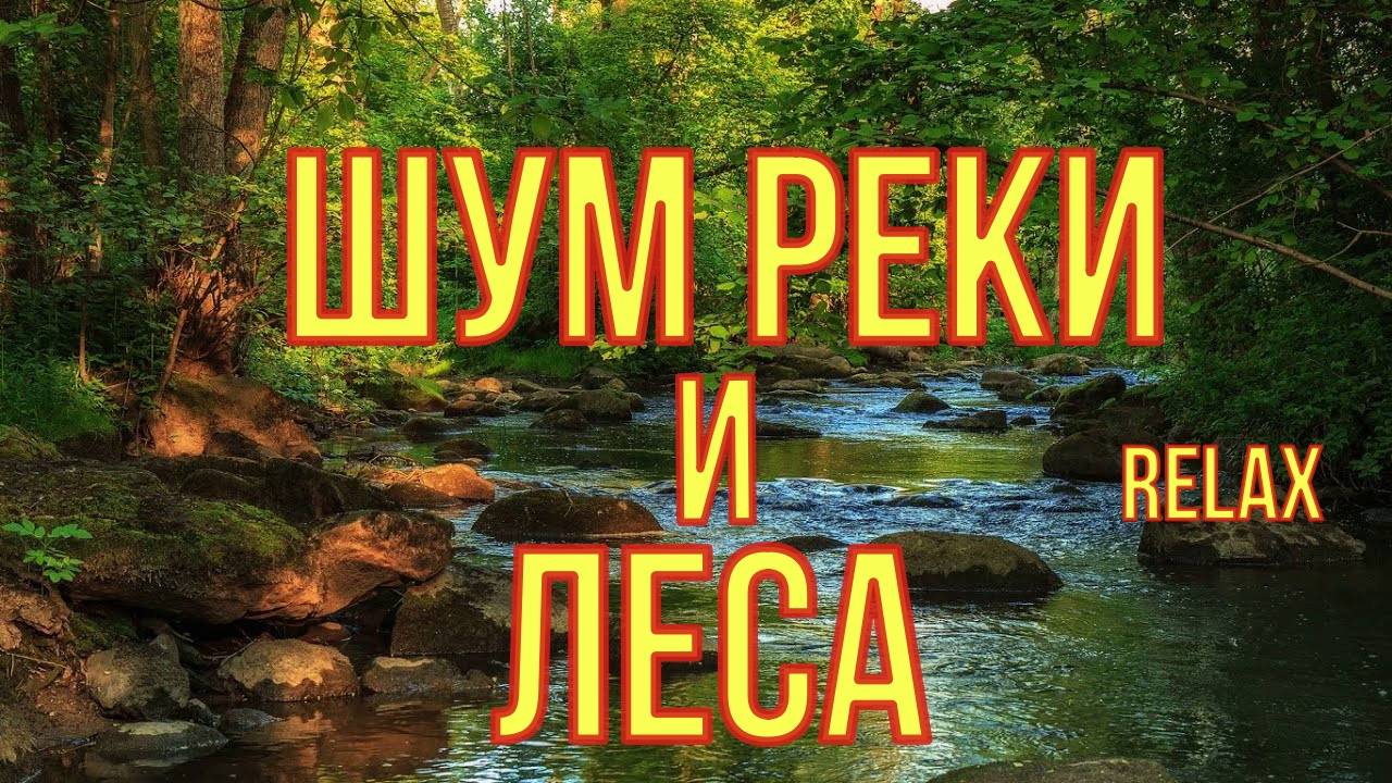 Тайга,река,пение птиц. RELAX. смотреть онлайн