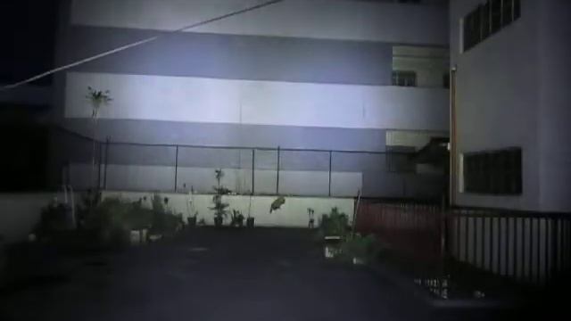 Sofirn SP33 (XHP50.2) vs Convoy S11 (XHP50.2 6500K, OP) beamshot comparison смотреть онлайн