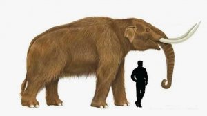 Мастодонт