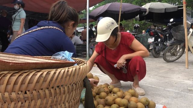 Harvest stone apple orchards, stone pears to go to the market to sell смотреть онлайн