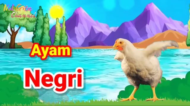 Macam macam Ayam | Lagu Anak indonesia смотреть онлайн
