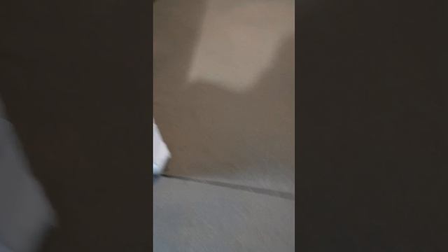 Идеально ровная полусухая стяжка пола. смотреть онлайн