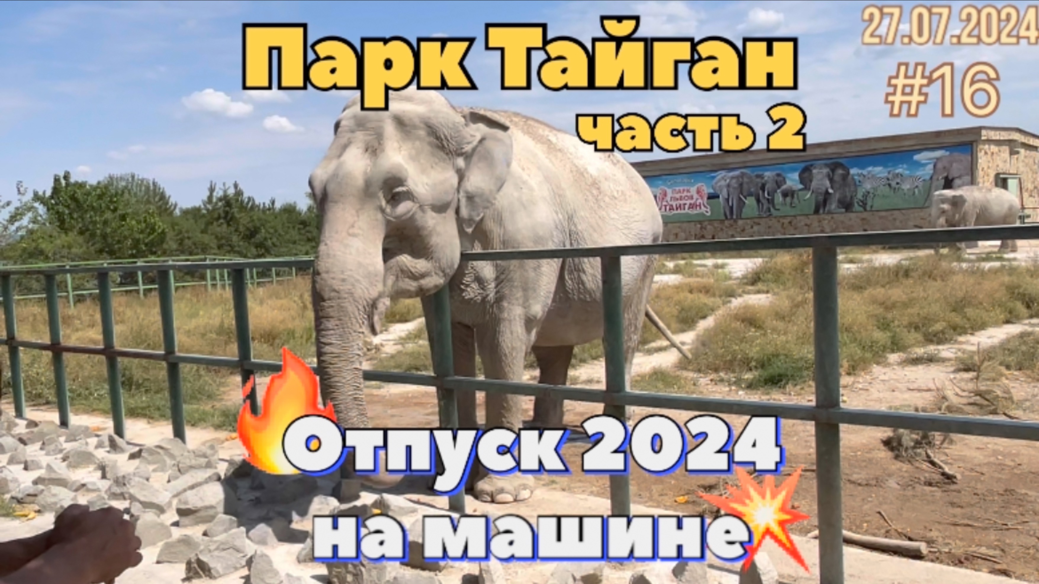 #Отпуск 2024 на машине…16 видео…парк львов Тайган…часть 2