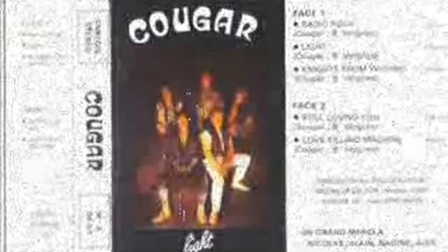 Cougar(Fra) - Radio Rock.wmv смотреть онлайн