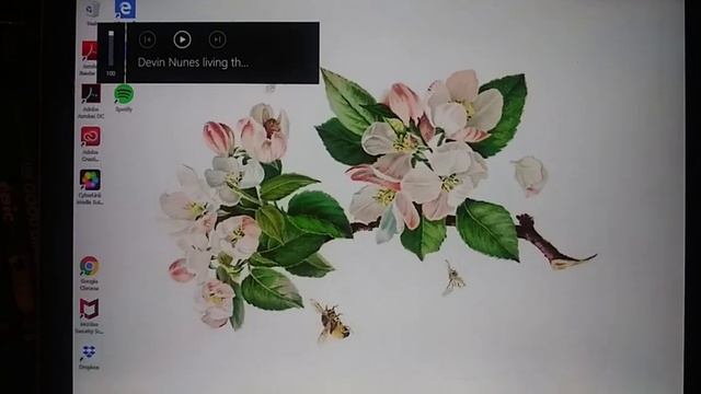 Opening to Ice Age 2008 Digital Copy ITunes Media Players смотреть онлайн