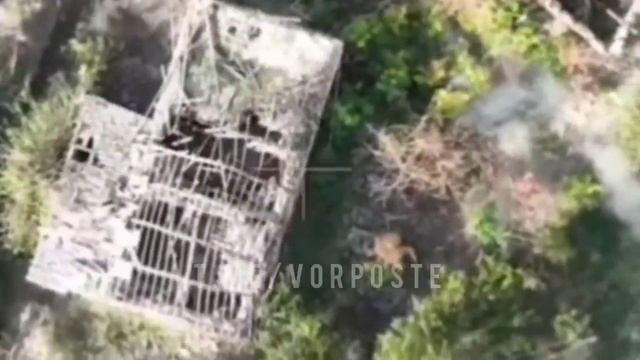 ⚡️СВО 18+ Вчера в плен разведчикам 4 военной базы попал офицер ВСУ смотреть онлайн