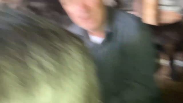 Keçi Sağımı 10 keçi 10 Lt. Süt смотреть онлайн