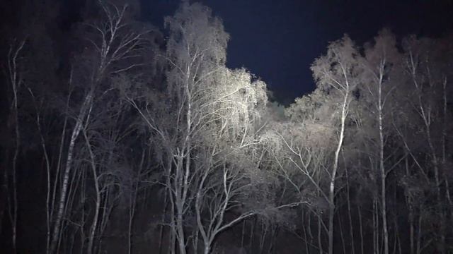 Olight X7R Marrauder looks for a German WW2 tunnel. Do we find it ? смотреть онлайн