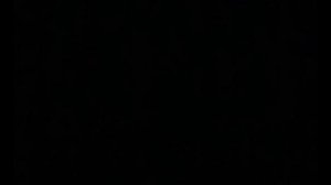 Professor Cal - Quite The Ride ~ NSFW ~