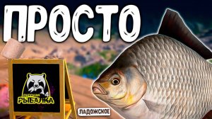 РУССКАЯ РЫБАЛКА 4. ЛОВИЛ ПРОСТЫХ РЫБ И ВОТ ЧТО ИЗ ЭТОГО ПОЛУЧИЛОСЬ РР4