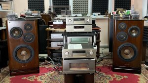 Колонки Diatone ds v5000